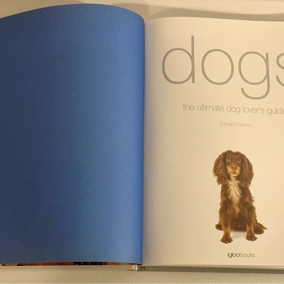 Dogs: From Extremely Large to Very Small • Igloo Books Hardcover Photo Guide - Picture 5 of 16